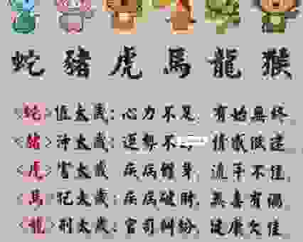 为什么说揭不开锅是什么生肖？看完你就明白了！