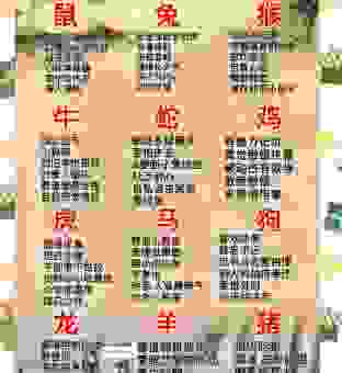 煽风点火是代表哪个生肖？原来这个生肖最爱搞事情