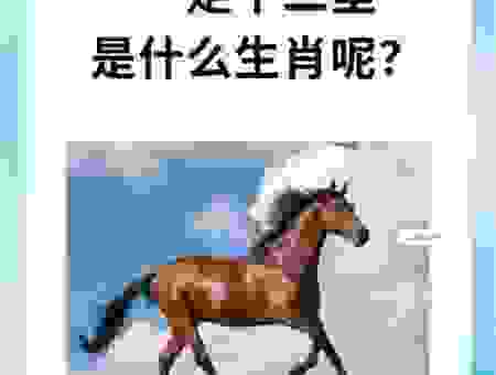 站稳脚跟指什么生肖动物？看看是不是你的生肖？