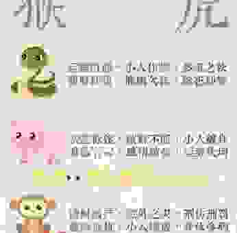 急如风火打一最佳生肖的谜底揭晓！别再瞎猜了！