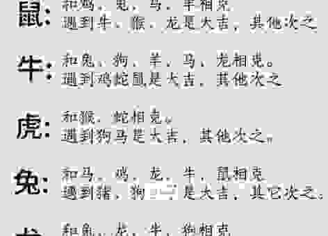 千变万化打一生肖是什么属相？一句话就能点透玄机