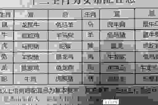 寻找答案：一表非凡是什么生肖？这篇解释最到位！