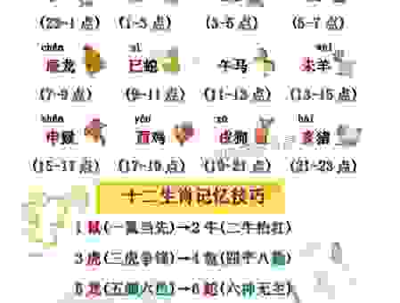 寻找答案：一表非凡是什么生肖？这篇解释最到位！