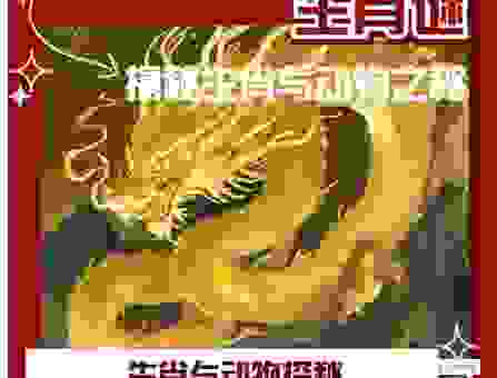 探头探脑是什么生肖？解密这个生肖背后的秘密！