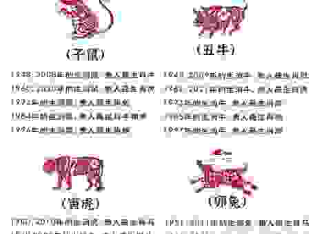 无底洞里一大人是什么生肖怎么解？生肖专家来分析