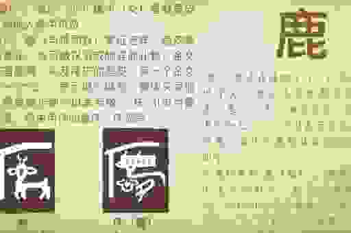 传说中的林深见鹿是什么生肖？老一辈人是这样说的！