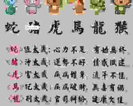 快来猜：一口咬定打一准确生肖到底指哪个？答案揭晓！