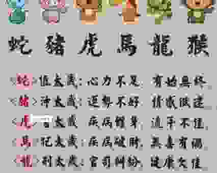 顶天立地猜一生肖的解析是什么？这几个生肖可能性最大！