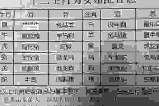 高飞远集是什么生肖？看完你就明白，真的非常特别！