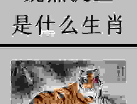 回首往事知多少 打一正确生肖是什么？