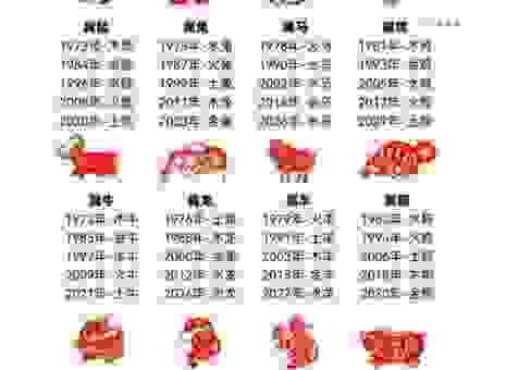 解读繁华落尽背后的数字生肖，原来是它！