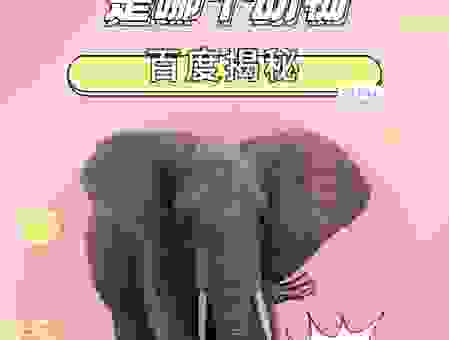 斤斤计较打一动物，这个答案有点让人意外！