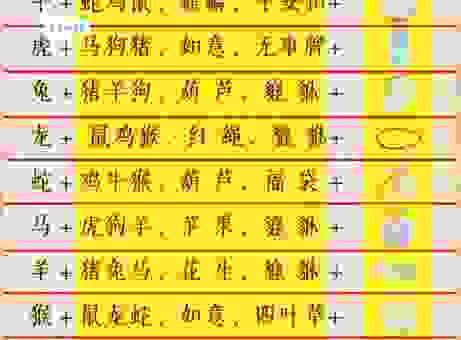 遮天盖地是什么生肖？史上最全的生肖答案揭秘！