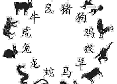 遮天盖地是什么生肖?史上最全的生肖答案揭秘!