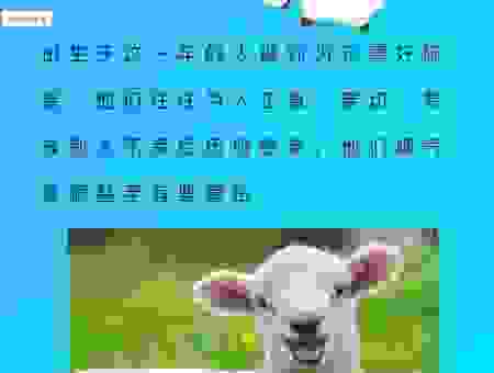 告朔饩羊指什么生肖?一文揭秘,让你不再迷茫!