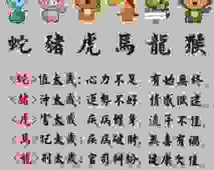 费煞思量是什么生肖？让你一眼看穿答案！
