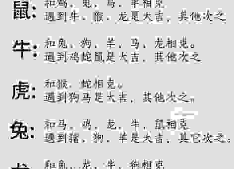 暗无天日是什么生肖？揭秘这个让人意想不到的属相。