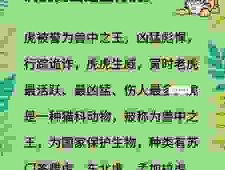 山上有只虎代表什么生肖？简单点说就是这个！