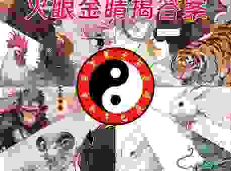 七上八下心不安打一生肖，这个答案你肯定想不到！