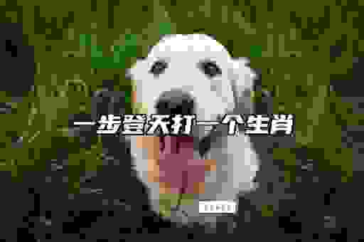 七上八下心不安打一生肖，这个答案你肯定想不到！