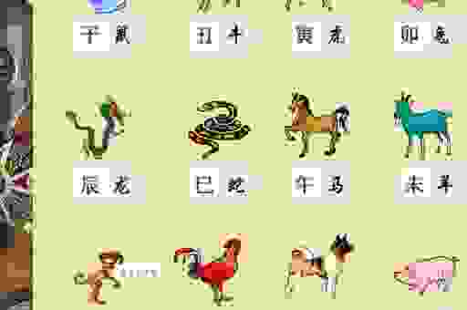 故弄玄虚打一最佳生肖，猜对的人少之又少！