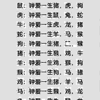 一一对应是什么生肖？看懂生肖匹配，生活更和谐！