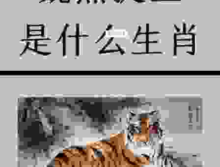 知道朝迎红日是什么生肖吗？答案让你想不到！
