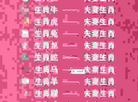 天生一对生肖正确答案揭秘，看看你的生肖是不是最佳CP！