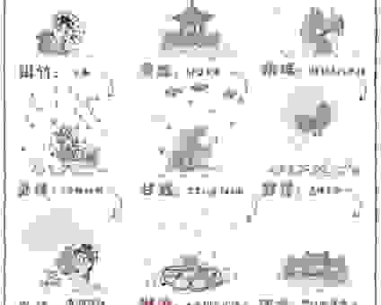 关于毛毛细雨是什么生肖的说法，你肯定不知道！