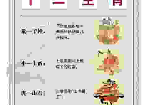 一碧千里到底是什么生肖?看完你就明白了