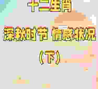 你知道暗送秋波打一个什么生肖吗？