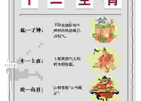 按图索骥和数字生肖有关吗？原来是这个生肖！