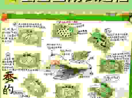 解密春蚕抽丝的意思，生活中的这个场景很有趣！