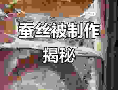 解密春蚕抽丝的意思，生活中的这个场景很有趣！