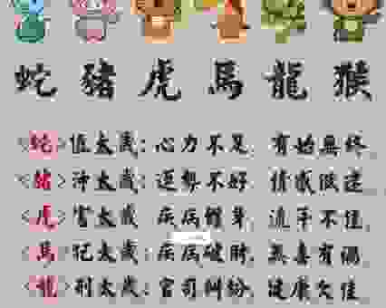 火烧眉毛猜生肖，谜底揭晓，你绝对猜不到！