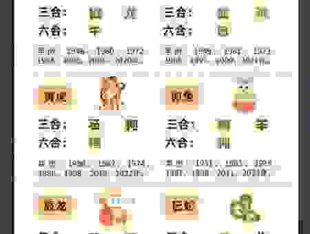 关于兵强马壮是什么生肖，你想知道的都在这里！