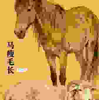 身长体长尾毛长是什么生肖?老一辈都这么说!