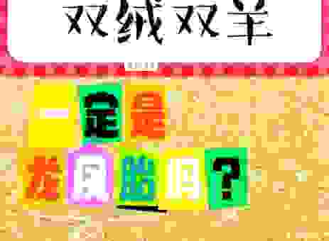 双喜临门龙凤胎究竟是哪个生肖？告诉你答案！