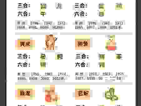 史无前例是什么生肖?十二生肖全解析一次看懂