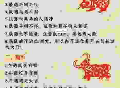 起居无时指什么生肖?新手必看的入门指南!