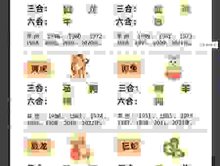 起居无时指什么生肖？新手必看的入门指南！