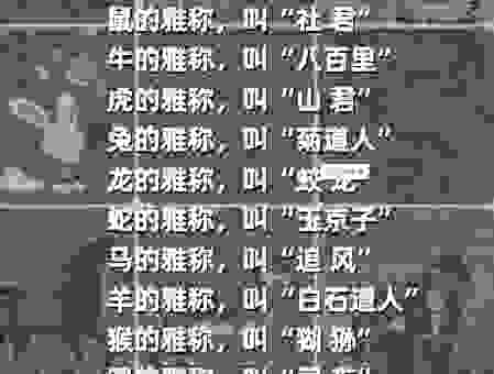 想知道冠冕堂皇指什么生肖吗？答案在这里！
