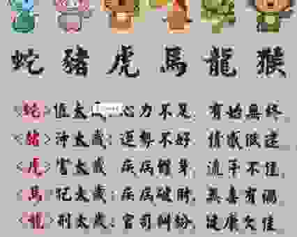 想知道四书五经指什么生肖?进来看看就知道!