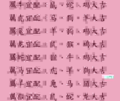 一息尚存打一生肖是哪个？资深命理师揭秘！