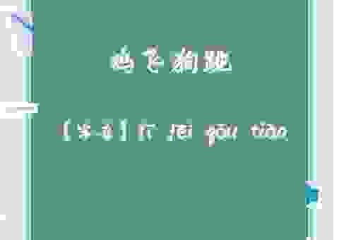 鸡飞狗窜到底打一生肖？这个答案很多人想不到