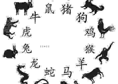 无独有偶是什么生肖?老一辈的说法,记住这几点才懂。
