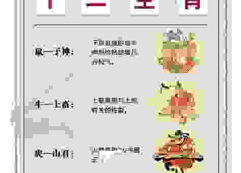 四面八方聚群英是什么生肖？这些生肖藏着大秘密！