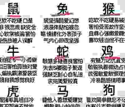 四面八方聚群英是什么生肖？这些生肖藏着大秘密！