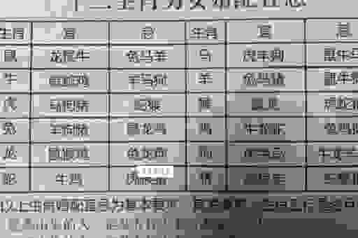 远渡重洋是什么生肖?了解一下它背后的文化含义
