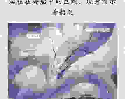 关于木已成舟是什么动物的秘密，全都知道了！